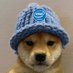 Nathaniel Rhayne (@headshotnolook) Twitter profile photo Nathaniel Rhayne (@headshotnolook) Twitter profile photo