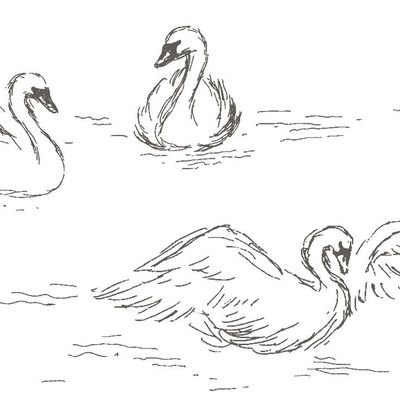 vanillastraur's profile picture. just me, being me  . ݁₊ ⊹ . ݁˖ . ݁⊹ ࣪ ﹏𓊝﹏𓂁﹏⊹ ࣪ ˖༄                     #sleep4life