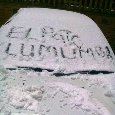 patou2023's profile picture. one man can change the world.