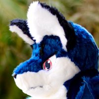 蒼狐/Sohko 🔰 (@sohkofox) 's Twitter Profile