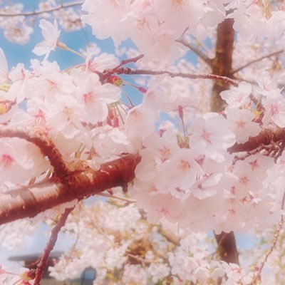 🐰さんのプロフィール画像