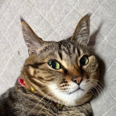 MFendre's profile picture. 