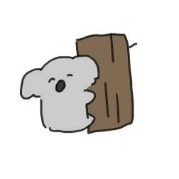 めごさんさんのプロフィール画像