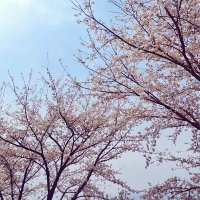 🌸지니🌸(금왕설렁탕알바생) (@goldkinggenie) 's Twitter Profile Photo 🌸지니🌸(금왕설렁탕알바생) (@goldkinggenie) 's Twitter Profile Photo
