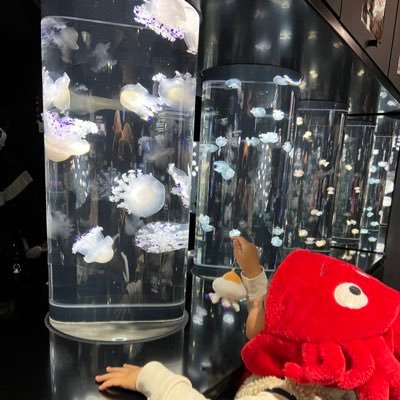 息子🍅1歳5ヶ月でALL初発11ヶ月間の入院を24時間つきそってました⚡️高リスク群🌝プロトコルB19🫠ビーリンサイト導入🚸退院1年後の維持療法中3歳8ヶ月で早期再発🎗つきそいできない病院で寂しさを吐露する母のひとりごと