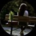 Rose (@rk10357375011) Twitter profile photo Rose (@rk10357375011) Twitter profile photo