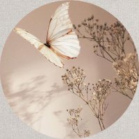 ٫”فاطمة🍃 (@fa_v68) Twitter profile photo