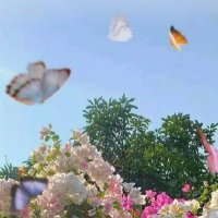 Am (@yaah12_) Twitter profile photo