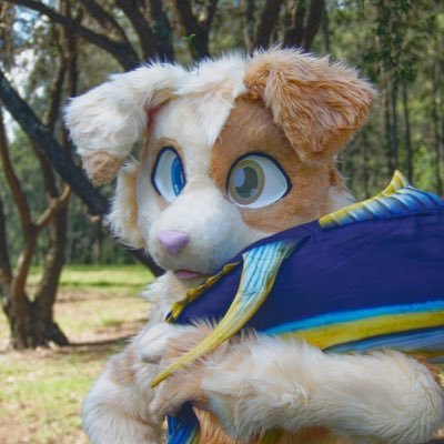 Cuddly border collie from 🇦🇺! Lukewarm takes on transport and tech … sometimes. 🪡 Kira suit made by @manguwu_ | 📸 Pfp: @hyenatyler | 🏕️ @pawsoutdoorsau