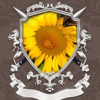 PratapjaiP (@pratapjaip) 's Twitter Profile
