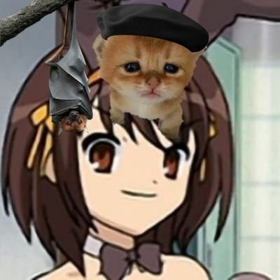 jāke 🆘団さんのプロフィール画像