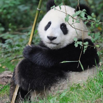 sswhh2's profile picture. ////