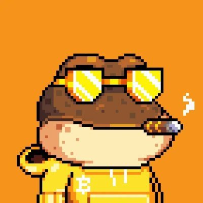 LakhanZala's profile picture. From flips to forks — crypto life