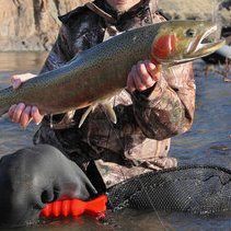 steelhead481188's profile picture. Big time fisherman. Retired. Divorced. Vacation taker. Legacy Investor. Michigan Summers and Florida winters. No children, two boats and a dream. Praise Jesus