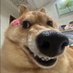 Tomisu (@bubbletato) Twitter profile photo Tomisu (@bubbletato) Twitter profile photo