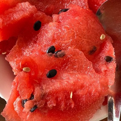 lidavod130711's profile picture. 