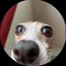 DeeDo (@eulas4879) Twitter profile photo DeeDo (@eulas4879) Twitter profile photo