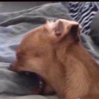 Kelly Webbs 🥷 (@kellywebbs_1) 's Twitter Profile