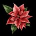 Ирина Карачун (@luxuriance50) Twitter profile photo Ирина Карачун (@luxuriance50) Twitter profile photo