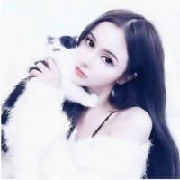 William|Sophia (@nrfru1curu96938) 's Twitter Profile