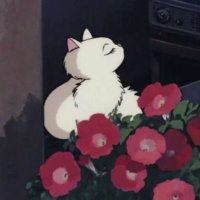 WARDA (@0riie1) Twitter profile photo