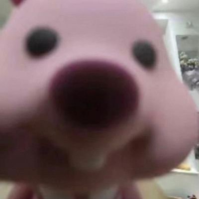 phuphakrubbbb's profile picture. 