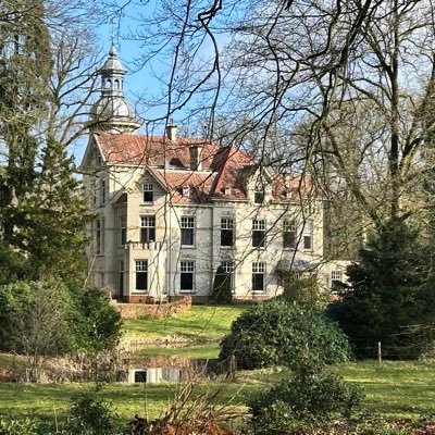 grijsvvliet's profile picture. 