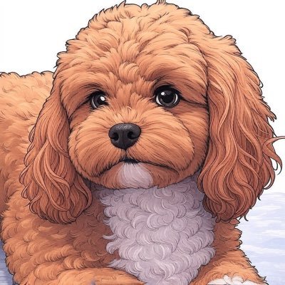 Bella555140's profile picture. $BELLA is a Solana fair launch token for the best Cavapoo dog in the world for pure fun and love for dogs. CA: HP6MCC3wqMGYxcYx38VLxkBR14uBxyvVDcZRiACopump