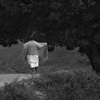 Gusto (@gusto6767) Twitter profile photo