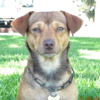 General woofy 🦴 (@general11345702) 's Twitter Profile