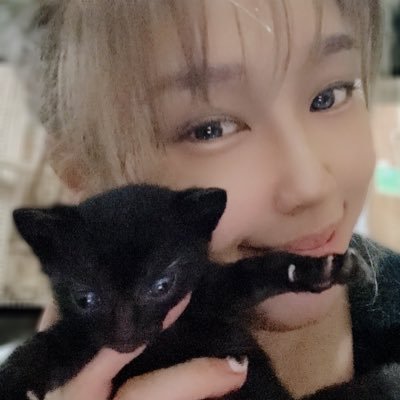 MADCATZ❤︎NPOฅ^•ﻌ•^ฅ動物好き相互follow🐾さんのプロフィール画像