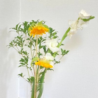 みさんのプロフィール画像
