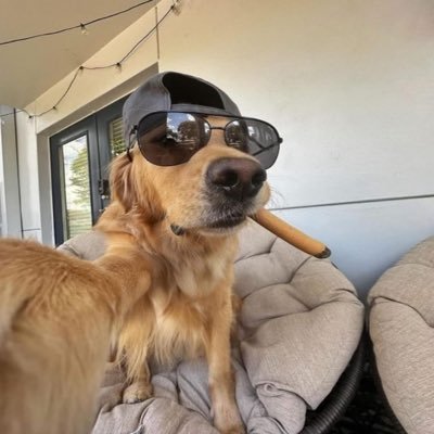 yeehawbrotherrr's profile picture. 