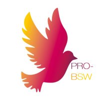 Pro-BSW (@pro_bsw) 's Twitter Profile