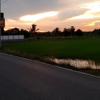 milo (@phl_sri706) 's Twitter Profile