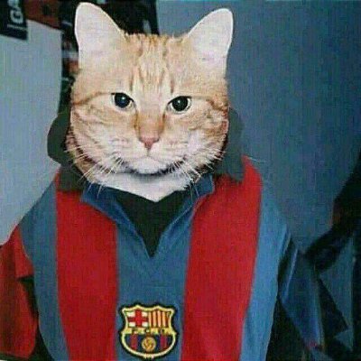 47Arian's profile picture. 