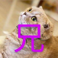 カズヲ(兄) (@aninofu) Twitter profile photo