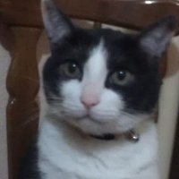 🅸︎🆄︎🆁︎🅴︎🆇︎ (@iurex) 's Twitter Profile