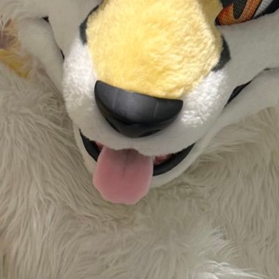 hozuKa_AD's profile picture. XOF