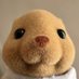 ugh (@hach1zuu) Twitter profile photo ugh (@hach1zuu) Twitter profile photo