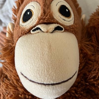 k5h61596's profile picture. バウンティ楽しい