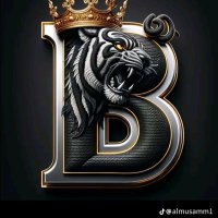 𝐵𝒶𝓈𝓈𝒶𝓂 (@qhzzvj2mb8) 's Twitter Profile