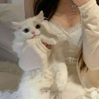 nana (@namatchaa_) 's Twitter Profile