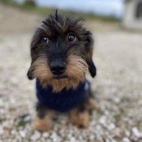 bc9000 (@bc9k1) 's Twitter Profile