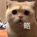 贱缺不知自 (@png619652878992) Twitter profile photo 贱缺不知自 (@png619652878992) Twitter profile photo