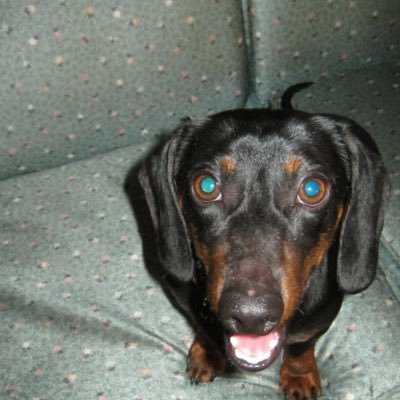 Tracys_Nook's profile picture. Minnesota