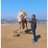 PremalSandesh's profile image