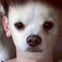 ์๋ฐ์ด.. (@areupuppy) 's Twitter Profile Photo ์๋ฐ์ด.. (@areupuppy) 's Twitter Profile Photo