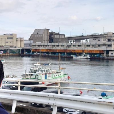 トリシノさんのプロフィール画像