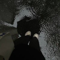 pluviophile_ (@pluviophile_098) 's Twitter Profile